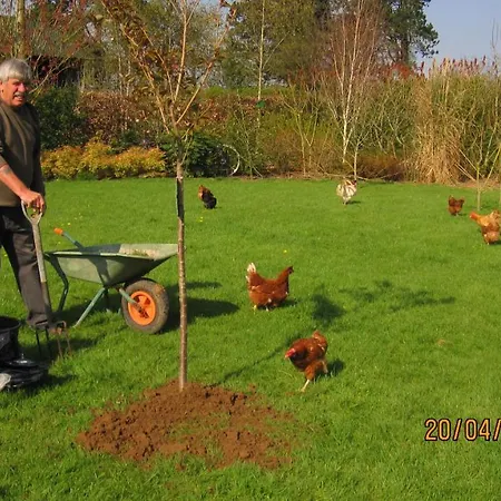 Greese View House 5*