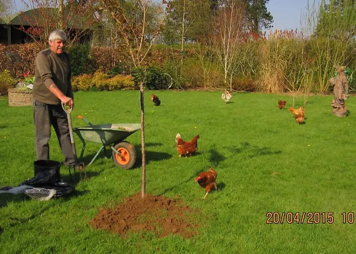 Greese View House 5*